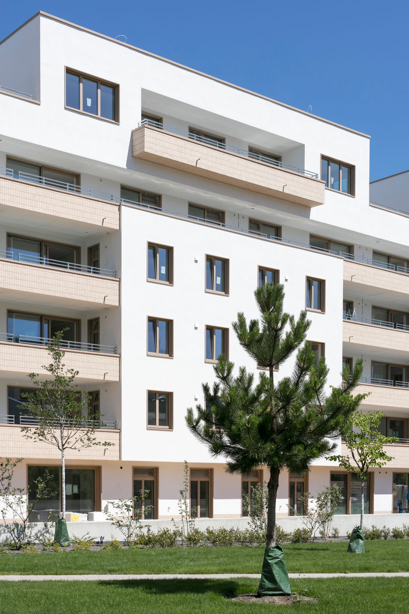 Gebäudeansicht vom Innenhof, mit frisch gepflanztem Baum